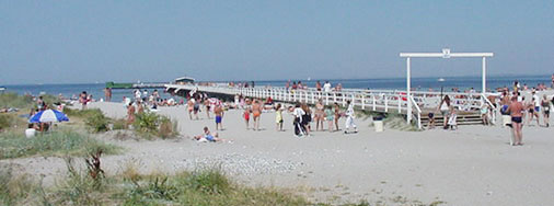 Beaches in Malmö